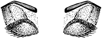 Иллюстрация к книге — Макияж. Краткая энциклопедия [i_090.jpg]