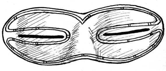 Иллюстрация к книге — 36 и 6 правил здоровых глаз [i_016.jpg]