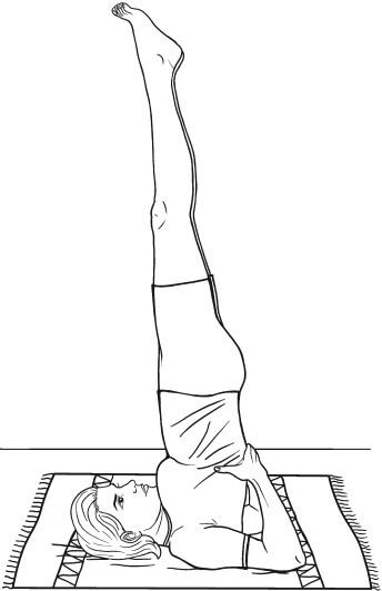 Иллюстрация к книге — Гимнастика для внутренних органов [i_001.jpg]