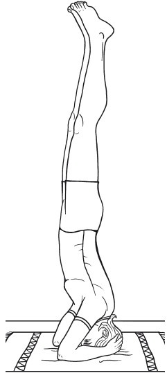 Иллюстрация к книге — Гимнастика для внутренних органов [i_004.jpg]