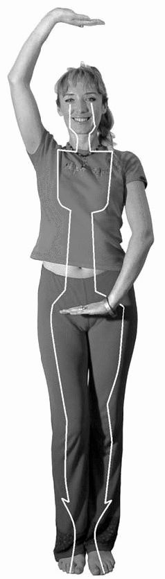 Иллюстрация к книге — Золотые китайские упражнения для здоровья и долголетия [Autogen_eBook_id19.jpg]