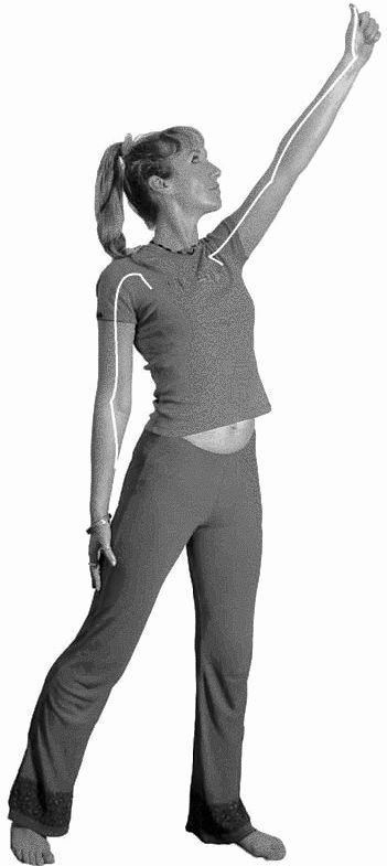 Иллюстрация к книге — Золотые китайские упражнения для здоровья и долголетия [Autogen_eBook_id24.jpg]