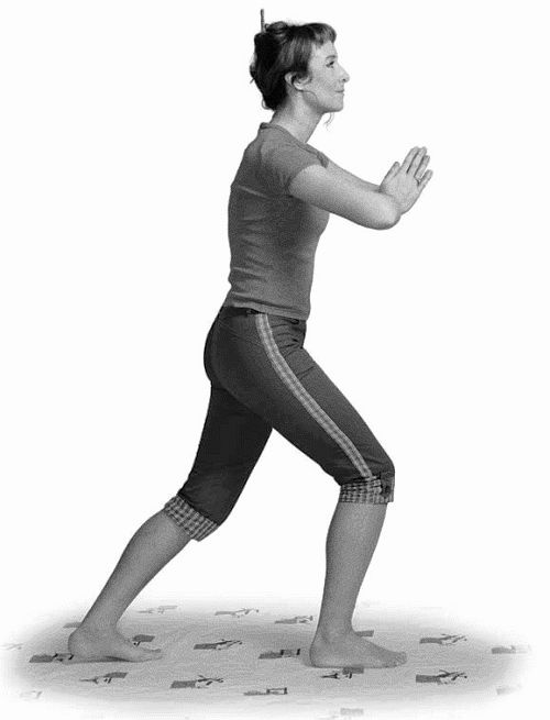 Иллюстрация к книге — Золотые китайские упражнения для здоровья и долголетия [Autogen_eBook_id54.jpg]