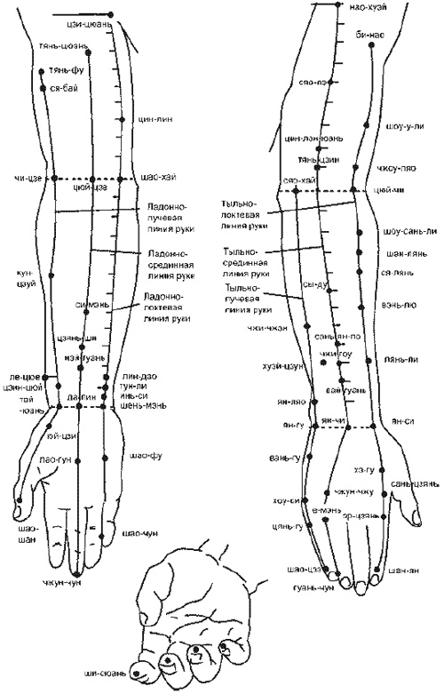 Иллюстрация к книге — Цигун для глаз [i_058.jpg]