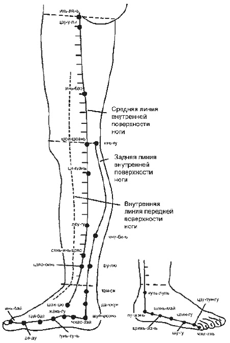 Иллюстрация к книге — Цигун для глаз [i_062.jpg]