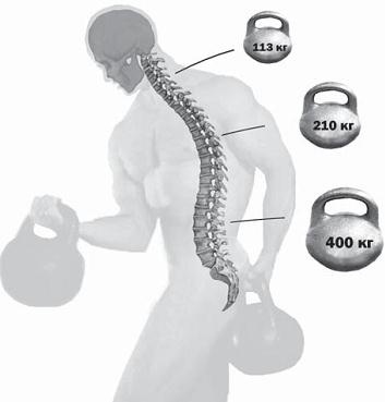 Иллюстрация к книге — Остеохондроз для профессионального пациента [i_003.jpg]