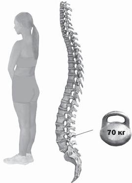 Иллюстрация к книге — Остеохондроз для профессионального пациента [i_005.jpg]