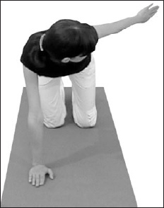 Иллюстрация к книге — Остеохондроз. Как победить боль [i_018.jpg]