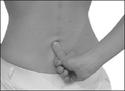 Иллюстрация к книге — Остеохондроз. Как победить боль [i_049.jpg]