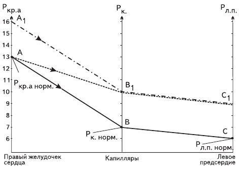 Иллюстрация к книге — Единственная правда об астме [i_002.jpg]