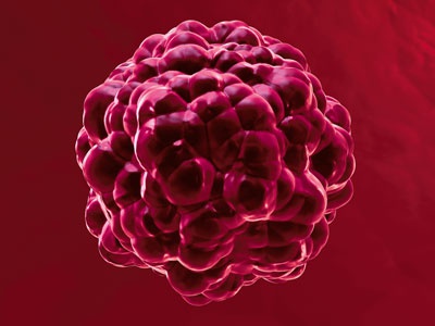 Иллюстрация к книге — О чем говорят анализы. Секреты медицинских показателей - для пациентов [i_028.jpg]