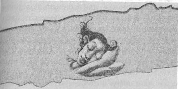 Иллюстрация к книге — Странности нашего тела. Занимательная анатомия [_09.jpg]