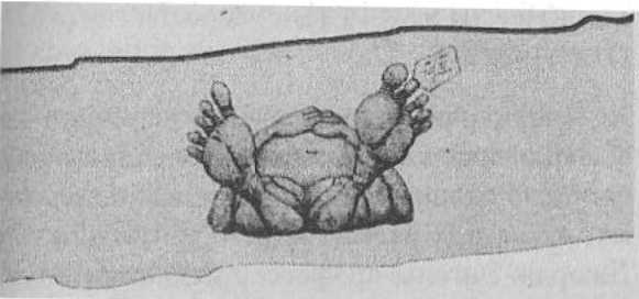 Иллюстрация к книге — Странности нашего тела. Занимательная анатомия [_10.jpg]