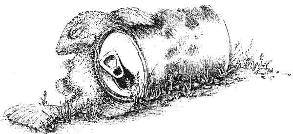 Иллюстрация к книге — Странности эволюции. Увлекательная биология [i_004.jpg]