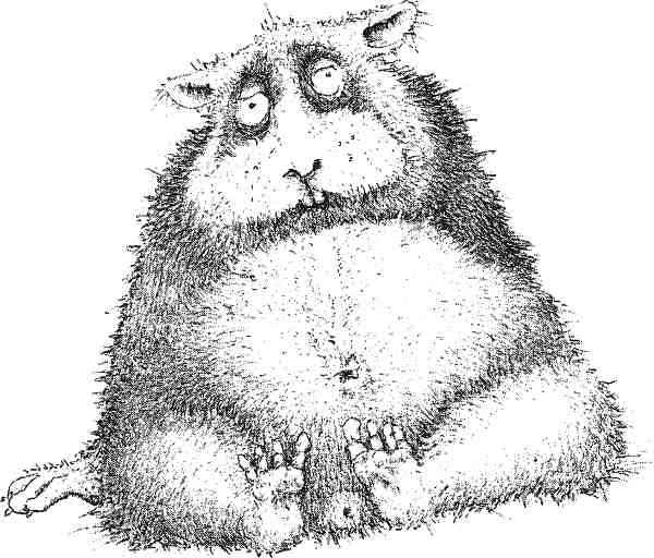 Иллюстрация к книге — Странности эволюции. Увлекательная биология [i_013.jpg]