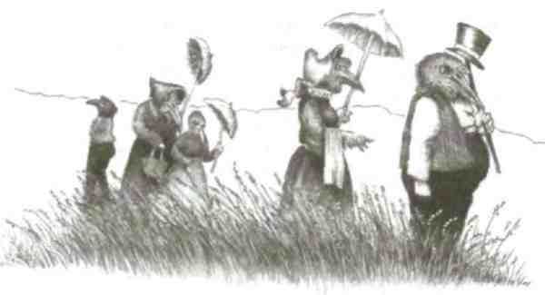 Иллюстрация к книге — Странности эволюции-2. Ошибки и неудачи в природе [i_007.jpg]