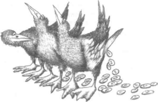 Иллюстрация к книге — Странности эволюции-2. Ошибки и неудачи в природе [i_014.jpg]