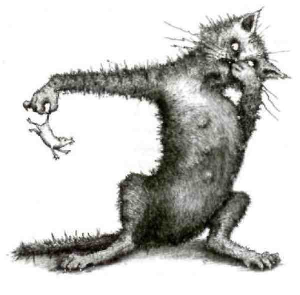 Иллюстрация к книге — Странности эволюции-2. Ошибки и неудачи в природе [i_015.jpg]