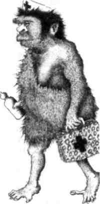 Иллюстрация к книге — Странности эволюции-2. Ошибки и неудачи в природе [i_022.jpg]