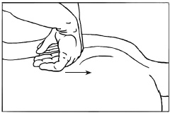 Иллюстрация к книге — Массаж и лечебная физкультура [i_037.jpg]