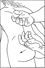 Иллюстрация к книге — Массаж и лечебная физкультура [i_054.jpg]