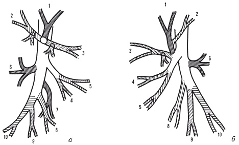 Иллюстрация к книге — Массаж и лечебная физкультура [i_085.jpg]