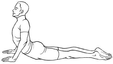 Иллюстрация к книге — Массаж и лечебная физкультура [i_142.jpg]