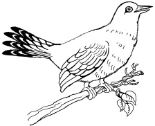 Иллюстрация к книге — 1000 игр, заданий и упражнений для развития речи [autogen_ebook_id100.jpg]