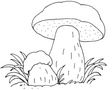 Иллюстрация к книге — 1000 игр, заданий и упражнений для развития речи [autogen_ebook_id108.jpg]