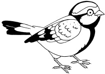 Иллюстрация к книге — 1000 игр, заданий и упражнений для развития речи [autogen_ebook_id13.jpg]