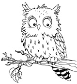 Иллюстрация к книге — 1000 игр, заданий и упражнений для развития речи [autogen_ebook_id66.jpg]