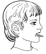 Иллюстрация к книге — 1000 игр, заданий и упражнений для развития речи [autogen_ebook_id88.jpg]