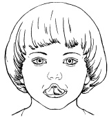 Иллюстрация к книге — 1000 игр, заданий и упражнений для развития речи [autogen_ebook_id90.jpg]