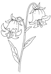 Иллюстрация к книге — 1000 игр, заданий и упражнений для развития речи [autogen_ebook_id99.jpg]