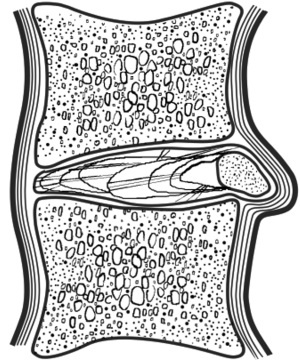 Иллюстрация к книге — Быть здоровым в нашей стране [i_002.jpg]