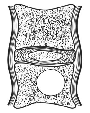 Иллюстрация к книге — Быть здоровым в нашей стране [i_007.jpg]