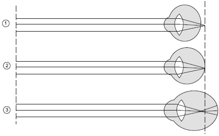 Иллюстрация к книге — Зрение на 100%. Фитнес и диета для глаз [i_005.jpg]