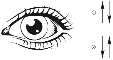 Иллюстрация к книге — Зрение на 100%. Фитнес и диета для глаз [i_008.jpg]