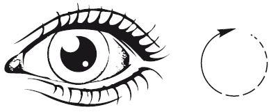 Иллюстрация к книге — Зрение на 100%. Фитнес и диета для глаз [i_009.jpg]