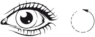 Иллюстрация к книге — Зрение на 100%. Фитнес и диета для глаз [i_010.jpg]