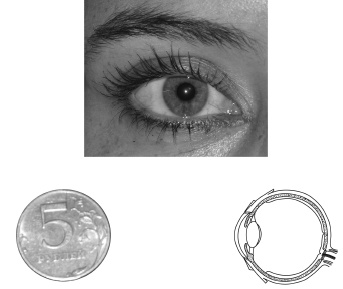 Иллюстрация к книге — Лазерная коррекция зрения [i_015.jpg]