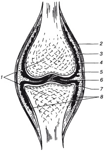 Иллюстрация к книге — Атлас профессионального массажа [i_022.jpg]