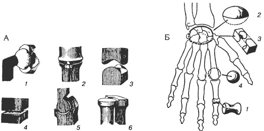 Иллюстрация к книге — Атлас профессионального массажа [i_024.jpg]