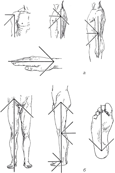 Иллюстрация к книге — Атлас профессионального массажа [i_030.jpg]