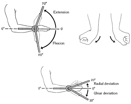 Иллюстрация к книге — Атлас профессионального массажа [i_034.jpg]