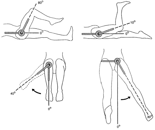 Иллюстрация к книге — Атлас профессионального массажа [i_036.jpg]