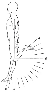 Иллюстрация к книге — Атлас профессионального массажа [i_037.jpg]