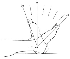 Иллюстрация к книге — Атлас профессионального массажа [i_038.jpg]