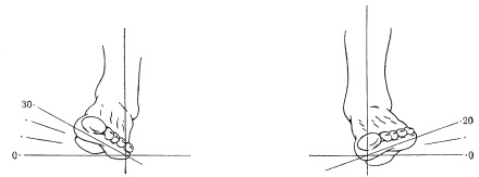 Иллюстрация к книге — Атлас профессионального массажа [i_039.jpg]