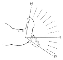 Иллюстрация к книге — Атлас профессионального массажа [i_040.jpg]